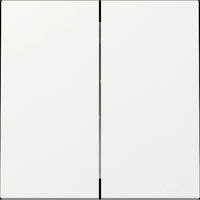 Gira 329503, Gira 329503 Wippe 2f System 55 Reinwei&szlig;