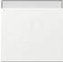Gira Wippe mit Beschriftungsfeld 3299