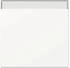 Gira Wippe mit Beschriftungsfeld 3299
