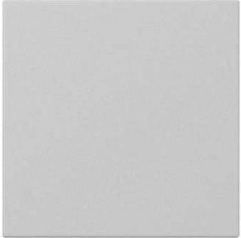 Gira Wippe gerade System 55 Grau matt (3496015)
