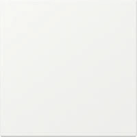 GIRA 349627 Wippe Schalter