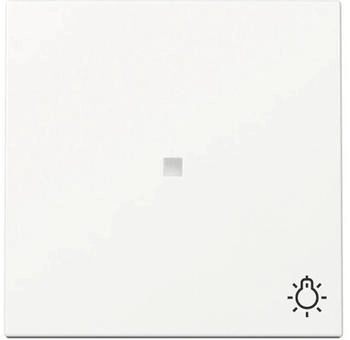 Gira Wippe mit Kontrollfenster und Symbol Licht 3674