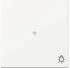 Gira Wippe mit Kontrollfenster und Symbol Licht 3674