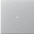 Gira Wippe mit Kontrollfenster 3290