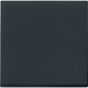 Gira Wippe Kontrollfenster System 55 Schwarz matt (3290005)