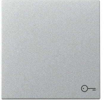Gira Wippe Symbol T&uuml;r System 55 Aluminium (328726)