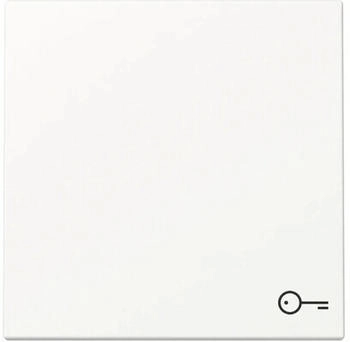 Gira Wippe Symbol T&uuml;r System 55 Reinwei&szlig; matt (328727)