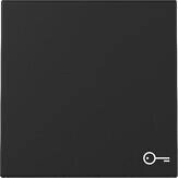 Gira Wippe Symbol T&uuml;r System 55 Schwarz matt (3287005)