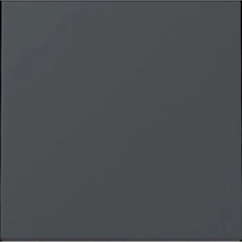 Gira Wippe System 55 Anthrazit (329628)