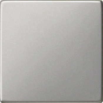 Gira Wippe Tastschalter System 55 Edelstahl (916600)