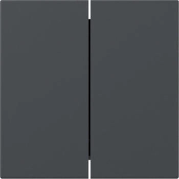 Gira Wippe 2f gerade System 55 Anthrazit (349528)