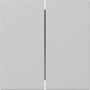Gira Wippe 2f gerade System 55 Grau matt (3495015)