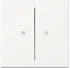 Gira Wippe 2fach mit Kontrollfenster 3631