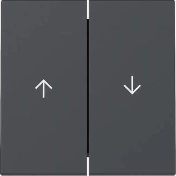 Gira Wippe 2f Pfeil System 55 Anthrazit (329428)