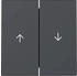 Gira Wippe 2fach mit Pfeilsymbol 3294