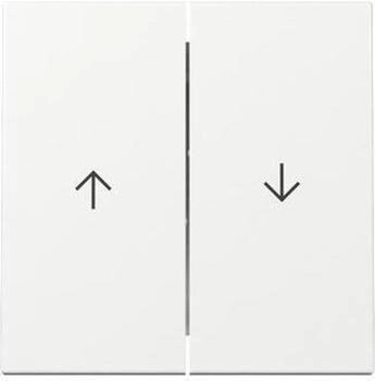 Gira Wippe 2fach mit Pfeilsymbol 3294