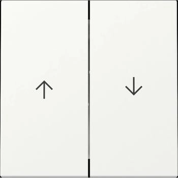 Gira Wippe 2f Pfeil System 55 Reinwei&szlig; matt (329427)