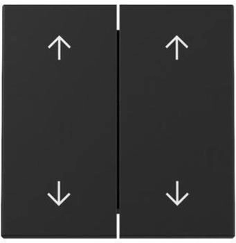 Gira Wippe 2f Pfeile System 55 Schwarz matt (3297005)