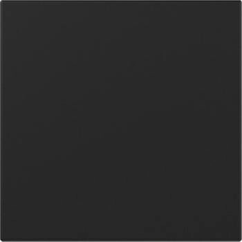 Gira Wippe gerade System 55 Schwarz matt (3496005)