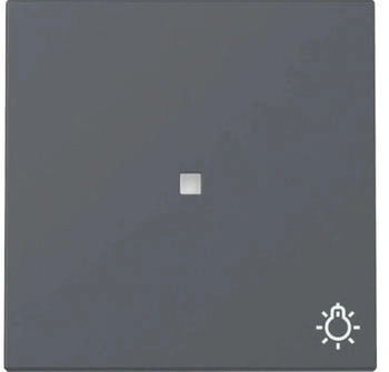Gira Wippe Kontrollfenster Symbol Licht System 55 Anthrazit (367428)