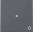 Gira Wippe mit Kontrollfenster und Symbol Licht 3674