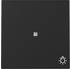 Gira Wippe mit Kontrollfenster und Symbol Licht 3674
