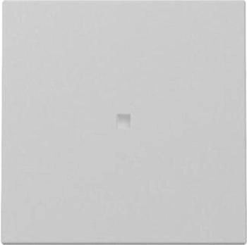 Gira Wippe Kontrollfenster System 55 Grau matt (3290015)