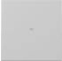 Gira Wippe mit Kontrollfenster 3290