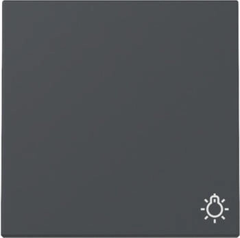 Gira Wippe Symbol Licht System 55 Anthrazit (328528)
