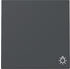 Gira Wippe mit Symbol Licht 3285
