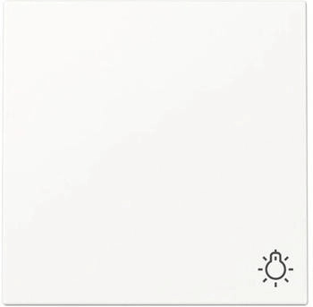 Gira Wippe mit Symbol Licht 3285