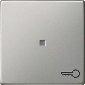Gira Wippe Symbol T&uuml;r System 55 Edelstahl (287600)
