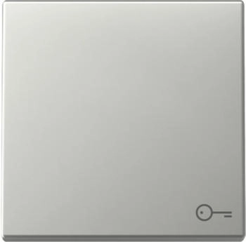Gira Wippe Symbol T&uuml;r System 55 Edelstahl (3287600)