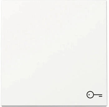 Gira Wippe mit Symbol T&uuml;r 3287