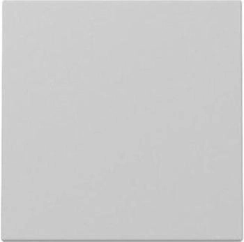 Gira Wippe System 55 Grau matt (3296015)