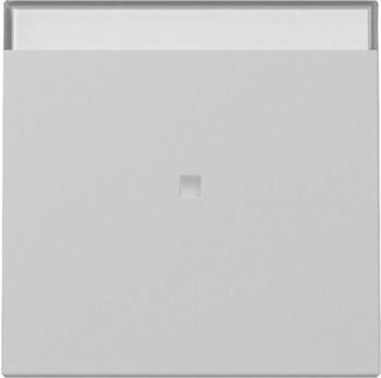 Gira Wippe Kontrollfenster BSF System 55 Grau matt (3670015)