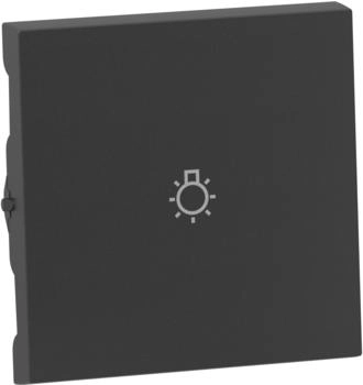 Legrand SEANO Wippe mit Lichtsymbol für Wechselschalter, Taster und Kreuzschalter, Aluminium/Anthrazit lackiert (765413)