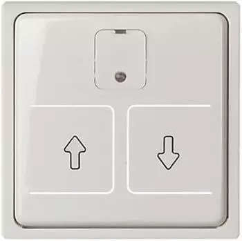 ELSO Zentralplatte für elektronischen Rollladenschalter JOY reinweiß (367254)
