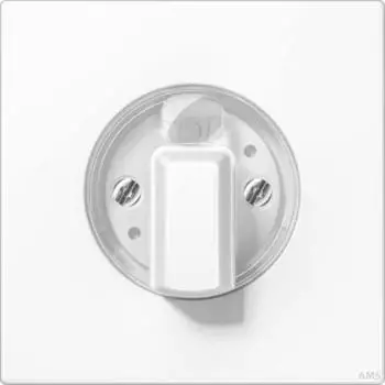 Jung Abdeckung für Drehschalter, Duroplast, Serie LS, alpinweiß (LS1941WW)