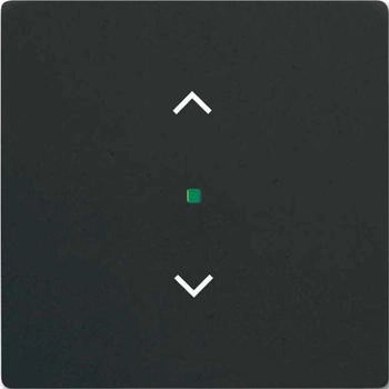 Busch-Jaeger Wippe 1-fach mit Symbol Jalousie schwarz matt (6232-10-885)