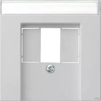 Gira Abdeckung Beschriftungsfeld TAE USB System 55 Grau matt (876015)