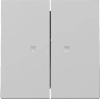 Gira Wippe 2f Kontrollfenster System 55 Grau matt (3631015)