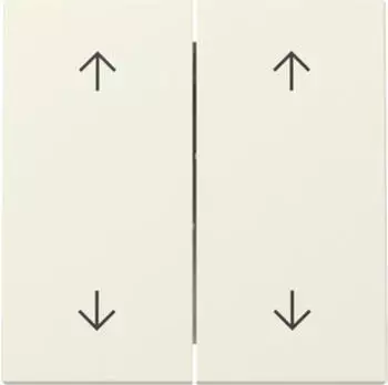 Gira Wippe 2f Pfeile System 55 (329701)