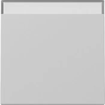 Gira Wippe BSF System 55 Grau matt (3299015)