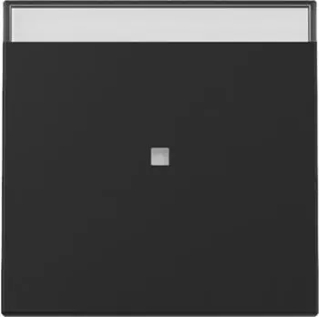 Gira Wippe Kontrollfenster BSF System 55 Schwarz matt (3670005)