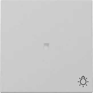 Gira Wippe Kontrollfenster Symbol Licht System 55 Grau matt (3674015)