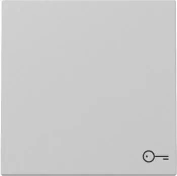 Gira Wippe Symbol T&uuml;r System 55 Grau matt (3287015)