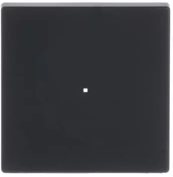 Busch-Jaeger Wippe sw mt 6230-10-885