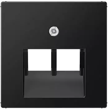 Jung Abdeckung IAE/UAE 2-fach graphitschwarz/matt Serie A550 (A569-2BFPLUASWM)
