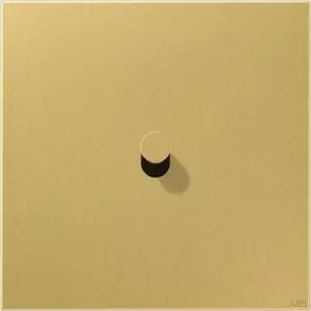 Jung Abdeckung mit Kipphebel Kegel (Messing)